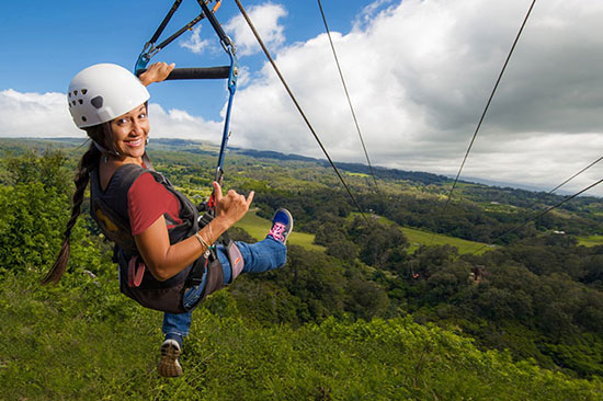 Flying Fox